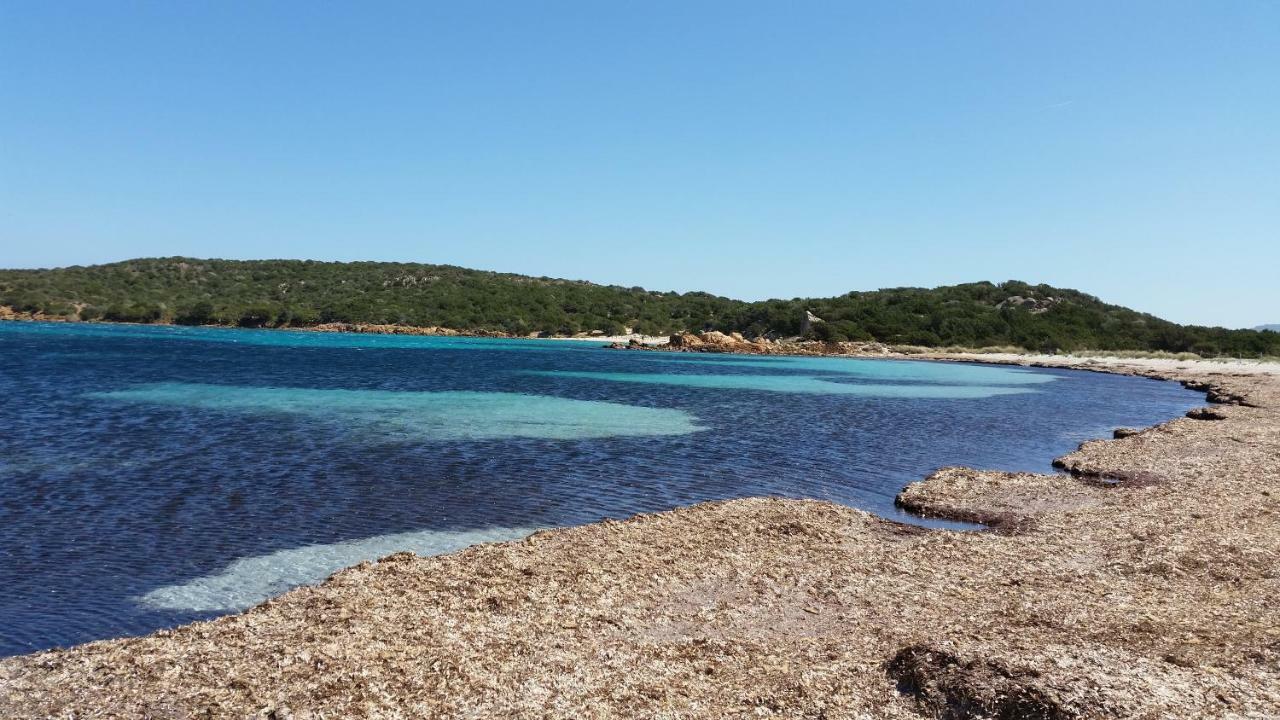 Casa Vacanze Della Maddalena エクステリア 写真