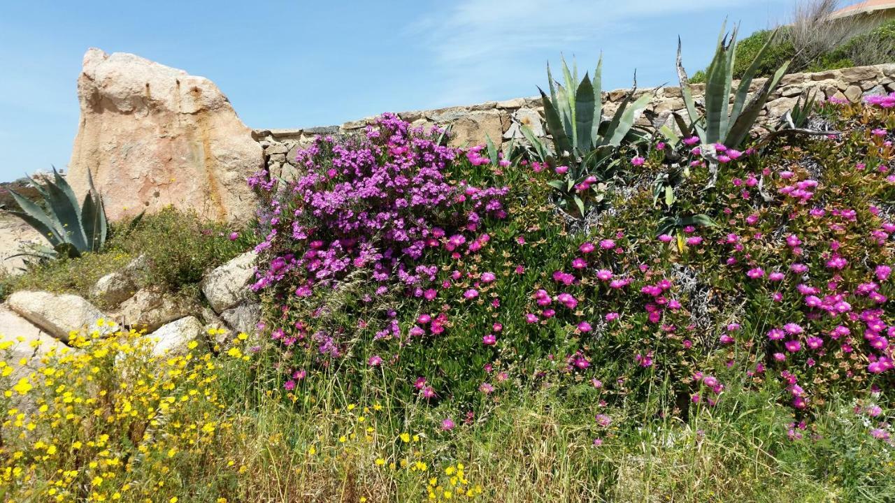 Casa Vacanze Della Maddalena エクステリア 写真
